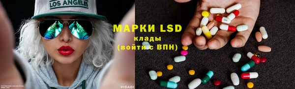 гидра Корсаков