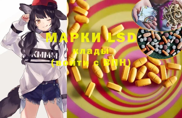 гидра Корсаков