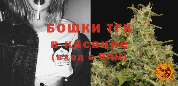 гидра Корсаков