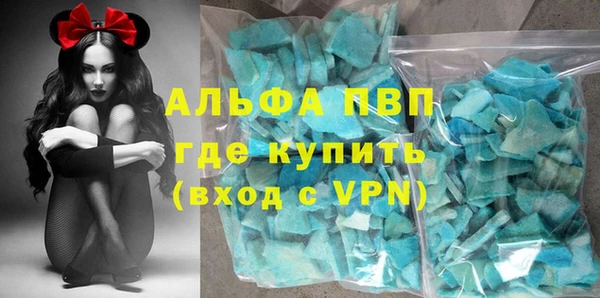 гидра Корсаков