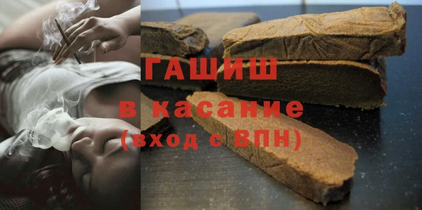 гидра Корсаков