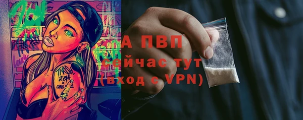 гидра Корсаков