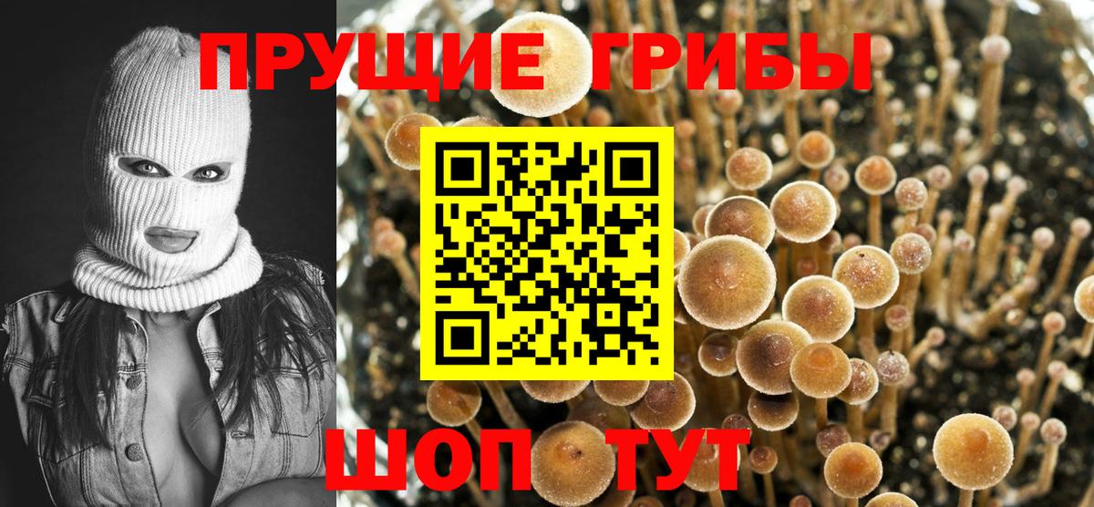 Галлюциногенные грибы мухоморы  Псилоцибиновые грибы Cubensis  Вход с VPN  Ливны 