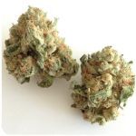 Шишки "White Widow"  (Белая вдова)  Гидропоника -  Бошка VHQ в Ливнах